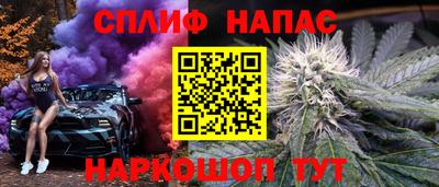 прущие крисы Будённовск