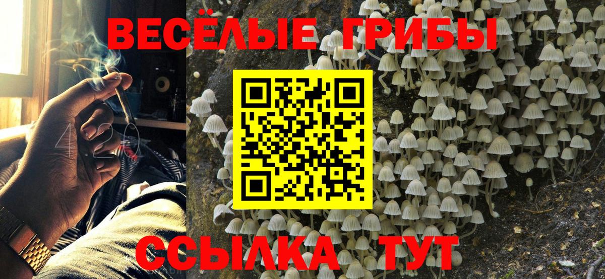 Псилоцибиновые грибы мицелий  Вход с VPN  Галлюциногенные грибы MAGIC MUSHROOMS  Мурманск 